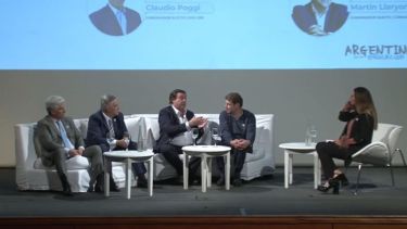 Alberto Weretilneck, presente en el encuentro en Buenos Aires. Foto: Captura video