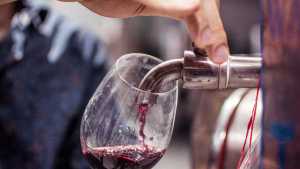 Las provincias patagónicas y el CFI trabajan en el acceso a la marca Patagonia