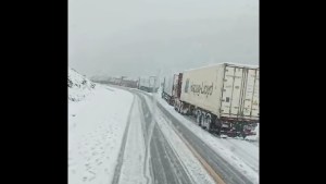Preocupación por los camiones varados en Neuquén: Pino Hachado reabriría recién la próxima semana