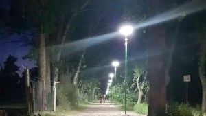 Destrozaron y cortaron los cables en más de 30 postes de luz en la bicisenda de Catriel