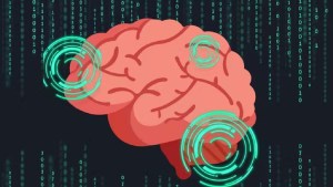 Edades críticas del envejecimiento cerebral: ¿Qué revela la nueva investigación?