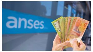 Compre sin IVA para trabajadores informales: ANSES confirmó desde cuándo rige