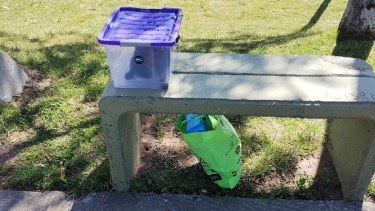 Indignante: abandonan a un gato enfermo adentro de un recipiente de plástico en una plaza de Neuquén