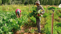 Imagen de La agroecología se afianza como modelo productivo y suma experiencias en la región