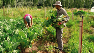 La agroecología se afianza como modelo productivo y suma experiencias en la región