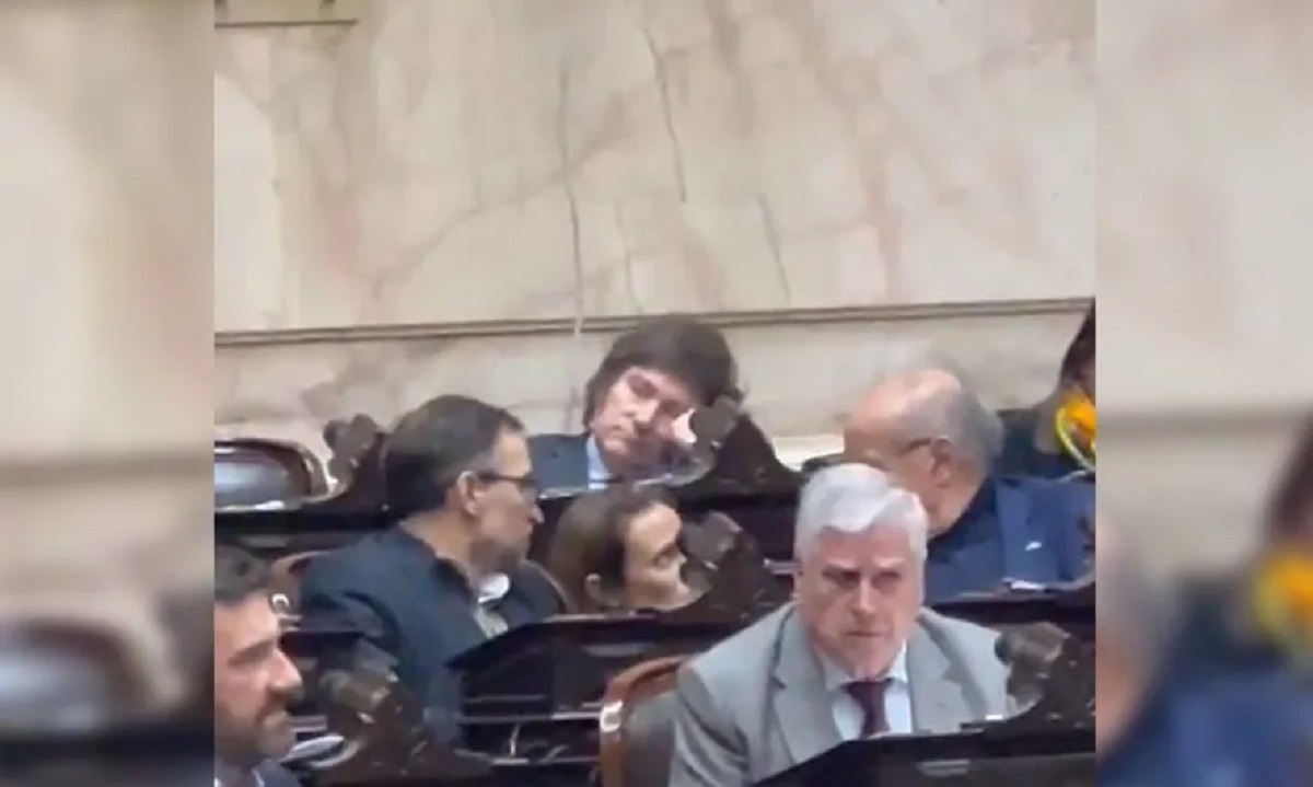 Milei se durmió en plena sesión de Diputados.