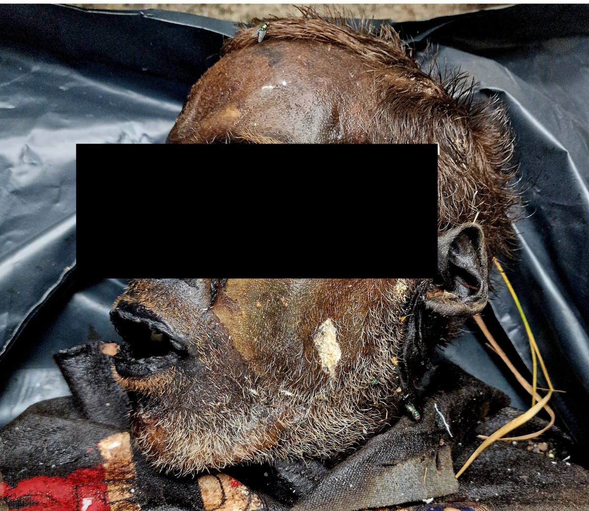 Asombro mundial: desapareció y dos semanas después fue encontrado momificado en Bulgaria
