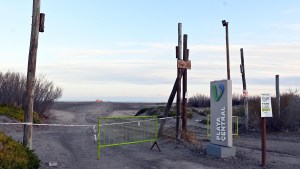 Gripe aviar en lobos marinos: en Viedma analizan levantar la restricción para acceder a las playas