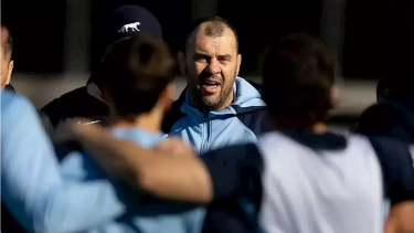 El australiano aseguró que los 33 están para jugar frente a Japón.