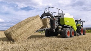 Expo Rural de Choele Choel: «Un año difícil para la ganadería»