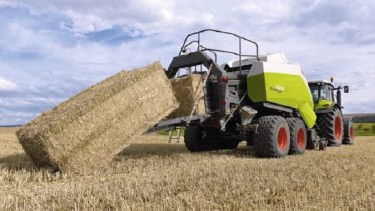 Megafardos, una alternativa que puso en marcha un productor ganadero en Pomona.