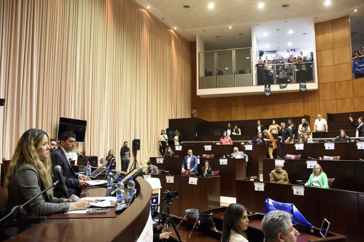 La Legislatura aprobó, en general, el polémico fondo que le recorta presupuesto. Foto: Matías Subat.