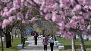 Finde largo en Neuquén capital, hay un plan todos los días