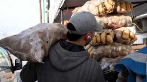 ¿Cuánto cuesta el kilo de papa? La consulta que se repite en las verdulerías de Neuquén