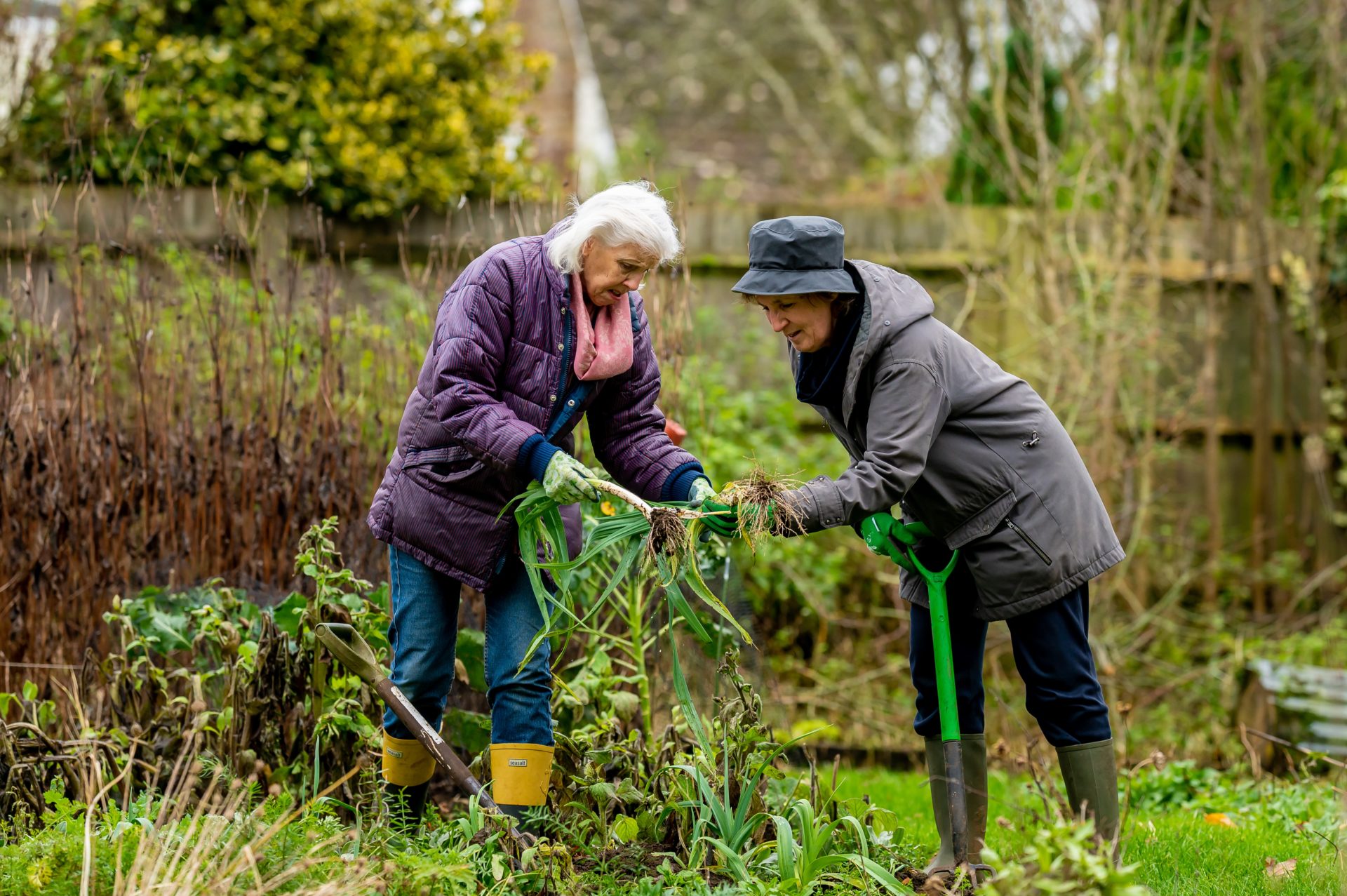 Una de las claves para mantenerse en forma es el movimiento natural, por ejemplo, el cuidado de un jardín. Foto de Centre for Ageing Better: https://www.pexels.com/es-es/foto/gente-tierra-mujer-jardin-7849457/
