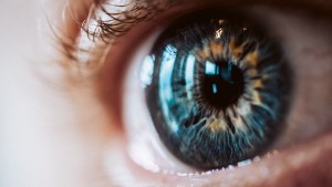 Un estudio sugiere que los ojos azules no son realmente de ese color: cuál es la explicación