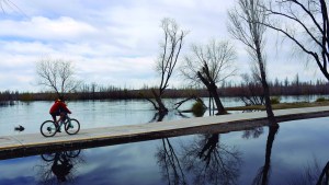 El río abre su puerta a todos