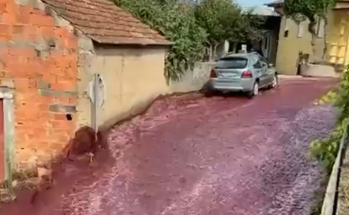 Un río de vino sorprendió a los vecinos de una ciudad de Portugal. Foto: Captura video 