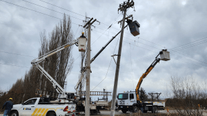 Continúa la preocupación por robos eléctricos que afectan la industria frutícola en Regina
