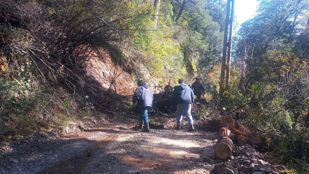 Se realizaron tareas de despeje en las rutas y caminoes provinciales afectados en la cordillera por las lluvias y desbordes de ríos. Gentileza