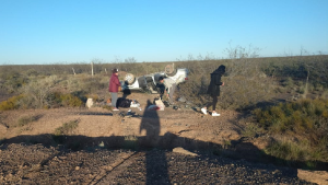 Dos mujeres internadas tras un vuelco en Ruta 6, cerca de Roca