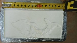 Detienen a cinco gendarmes por el robo de más de 15 kilos de cocaína de un Escuadrón en Zárate