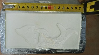 Los paquetes con droga que desaparecieron en el escuadrón de Zárate. 