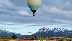 El vuelo soñado: subir a un globo y flotar sobre un campo de tulipanes
