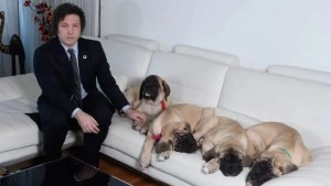 Milei denunció que Juntos por el Cambio intentó quitarle a sus perros