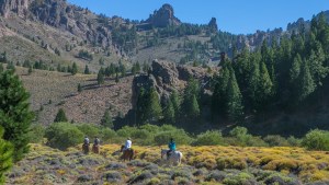 Finde largo: Bariloche, Viedma y El Bolsón, los destinos más elegidos en Río Negro