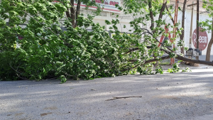 Alerta por vientos: así se vivió el temporal en Cipolletti
