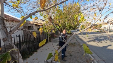 Los cursos comenzarán en la segunda quincena de octubre. Foto: Gentileza.