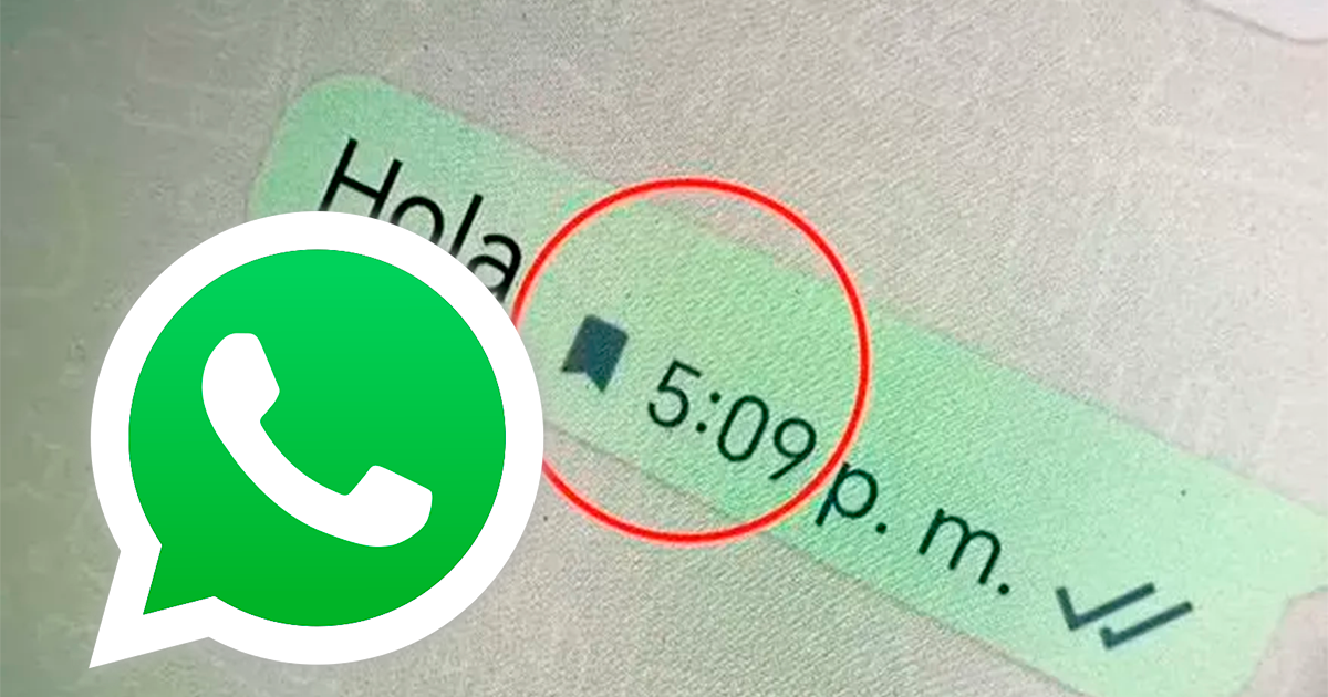 what-the-whatsapp-flag-means-and-what-it-is-for-archyde