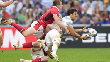 Los Pumas vencieron por 29 -17 a Gales en cuartos de final de la Copa del Mundo. (AP Photo/Pavel Golovkin)