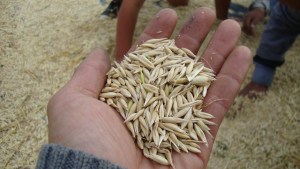 UNRN continúa ciclo de charlas de carreras que se cursan en El Bolsón