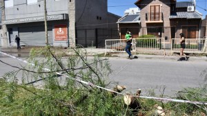 Murieron tres jóvenes tras chocar contra un poste de luz en el centro de Cipolletti
