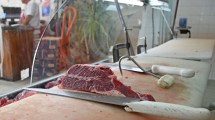 Imagen de La carne en Neuquén aumentó un 140% en lo que va de este año