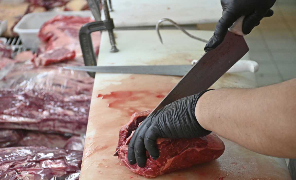 El Gobierno actualizó los precios de la carne; estos son los nuevos valores
