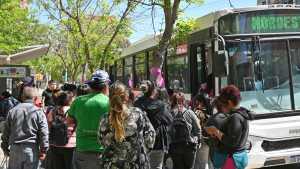 Cuánto cuesta el pasaje de colectivo urbano en Cipolletti con el nuevo aumento