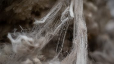 Esquila. Es uno los trabajos rurales más demandados en esta época por los establecimientos de producción ovina.