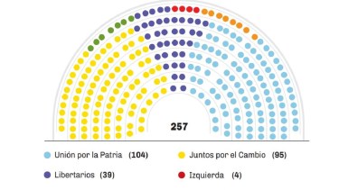 Con los resultados de las elecciones, Unión por la Patria se mantiene como la primera minoría en la Cámara de Diputados. Gráfico: fuente Río Negro. 