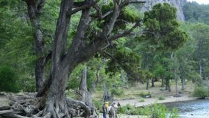 Caso Lolen: uno por uno, los parques nacionales que cierran este jueves por el juicio contra guardaparques