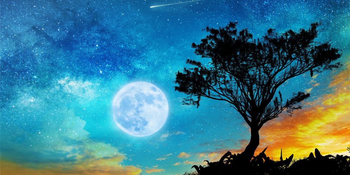 Signo por signo, así impactará el Eclipse de Luna Llena en Tauro de ...