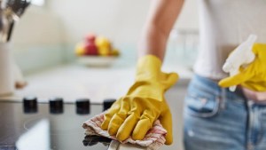 Empleadas domésticas: Cuánto cobro por trabajar cuatro horas en octubre 2023