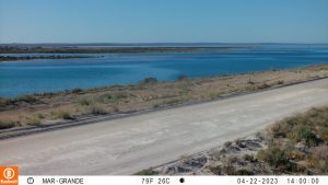 ¿Existe peligro por el avance del nivel del mar en la costa de Río Negro?