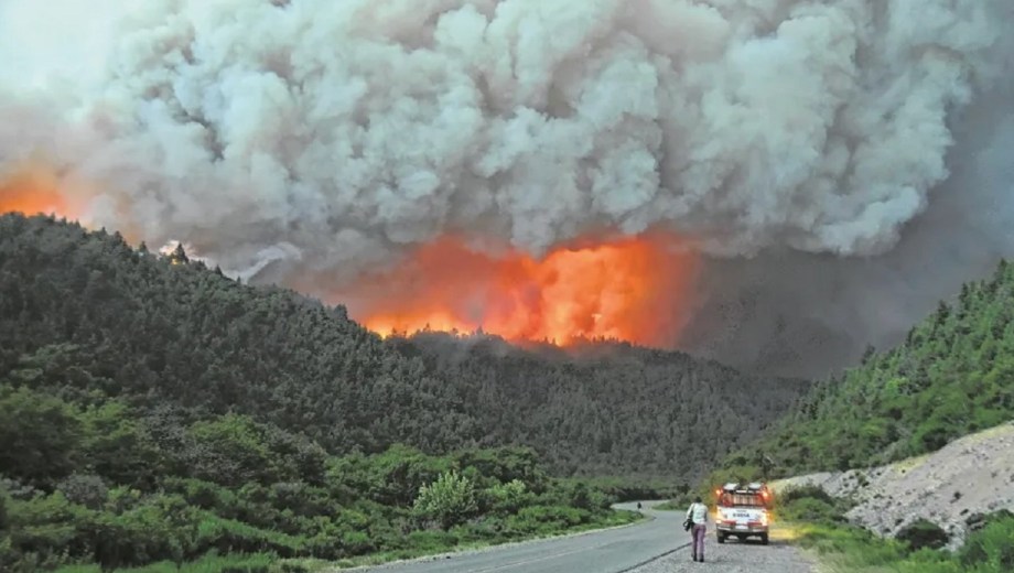 Cada vez preocupan más los incendios forestales en la región. Foto: archivo