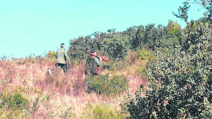 Subastan 115 turnos de caza de ciervos y jabalíes en los parques Lanín y Nahuel Huapi