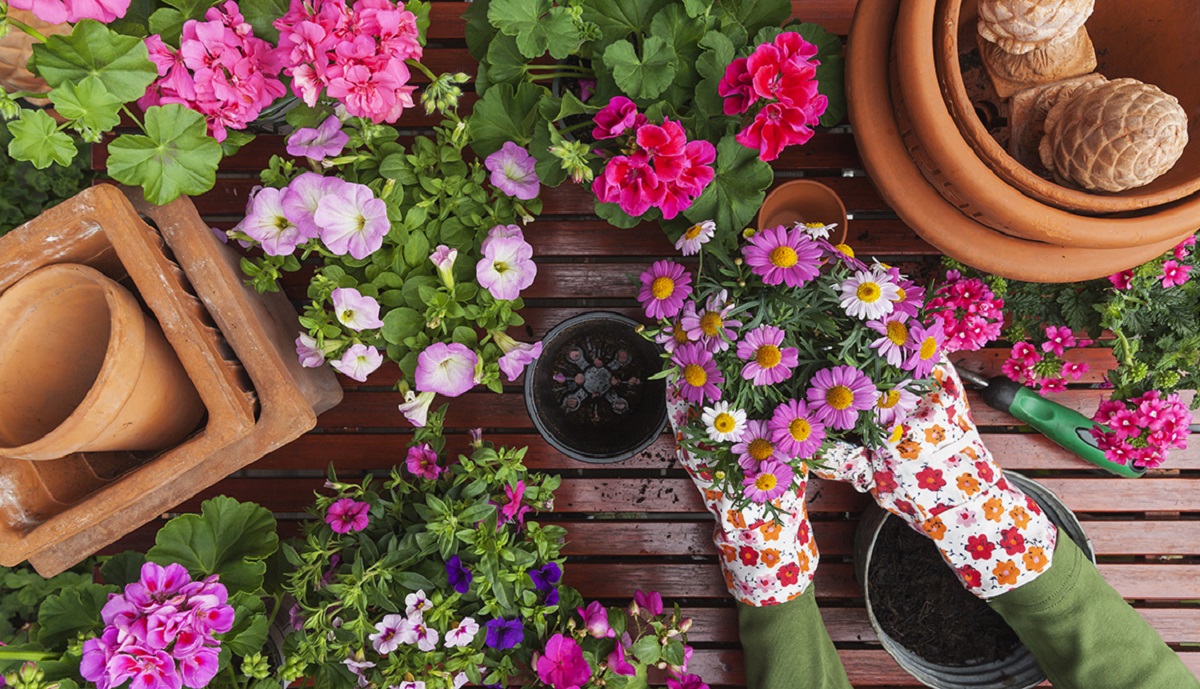 La jardinería es una opción para desconectar de la rutina diaria.-