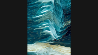 Las mejores microfotografías del mundo del prestigioso concurso Nikon «Small World»