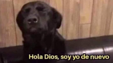 Los mejores memes que dejan las elecciones generales 2023. 